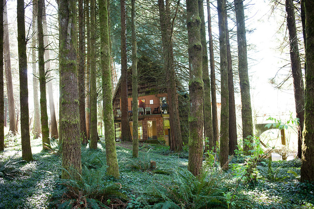 Leland Iron Works, artist Lee Kelly’s studio and home, is a wood cabin situated among the evergreen trees of Oregon's Cascade Forest. 