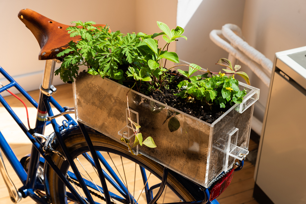A bicycle with a planter growing green plants behind the seat