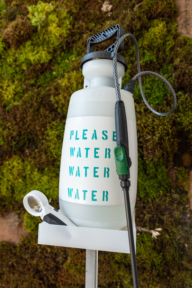 A jug that states 'Please Water Water Water Water' in front of a moss wall