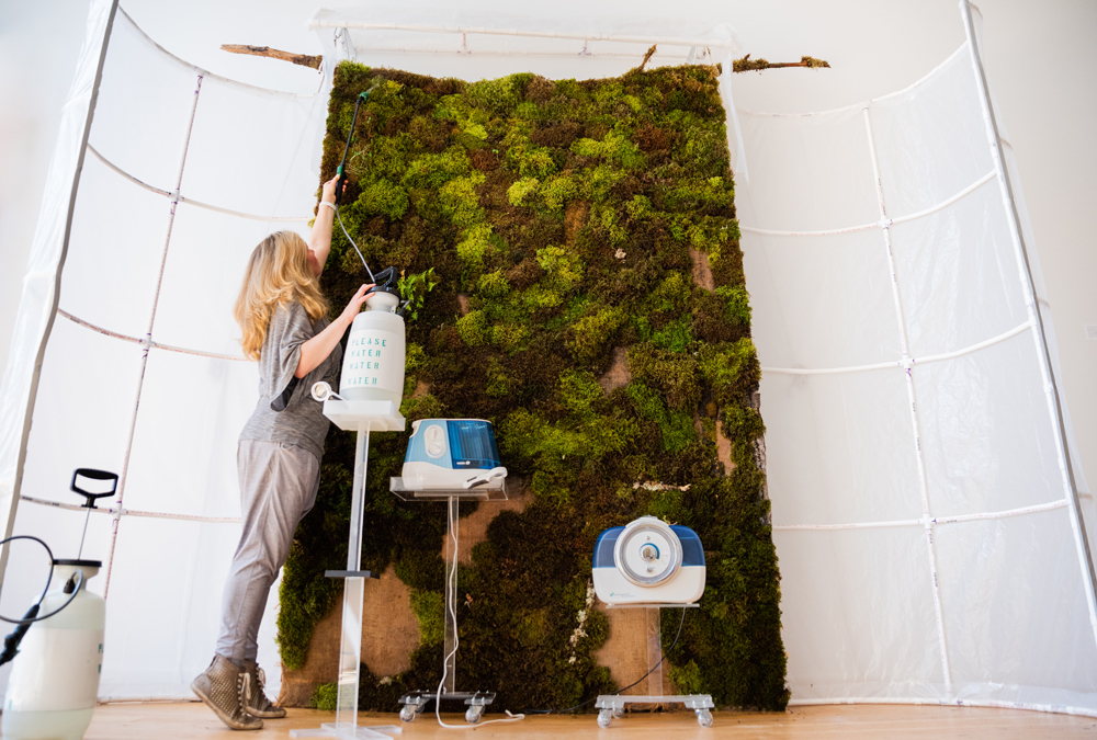 A person spraying water on a moss wall
