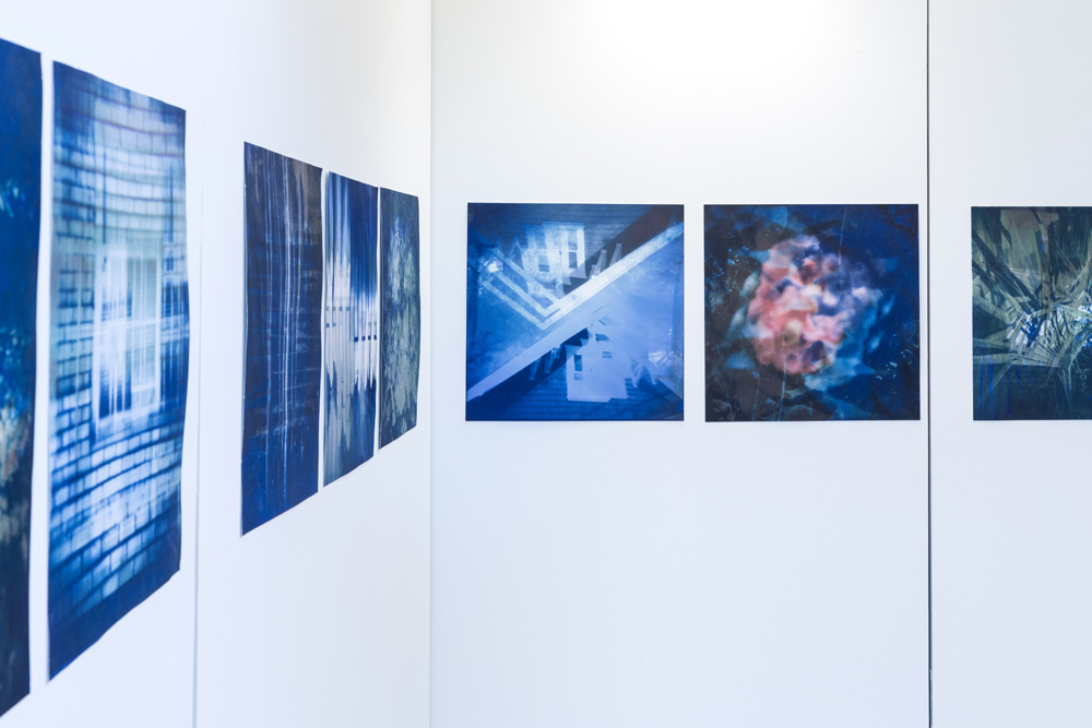 Series of abstract photograph prints on a wall, art by Aimee Sitarz