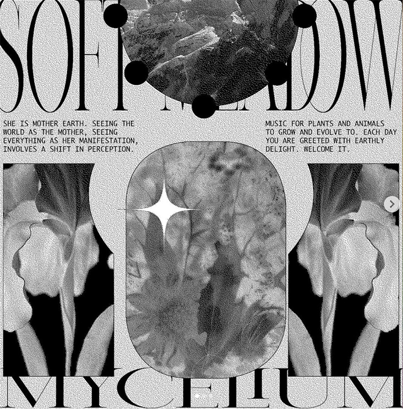 Emma Wisemann artwork featuring black and white photos of flowers overlaid on text