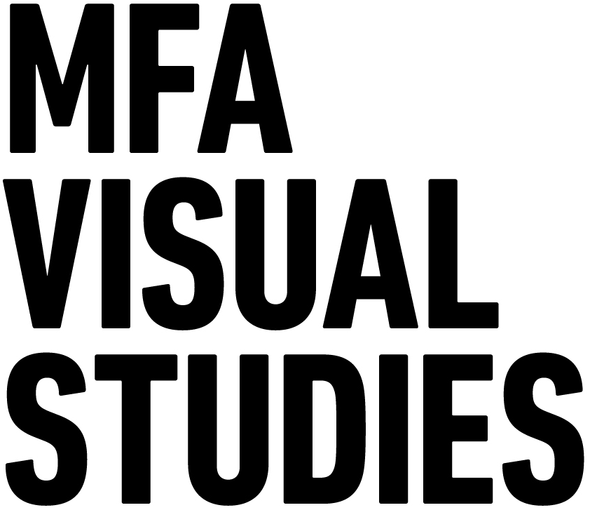 MFA in Visual Studies
